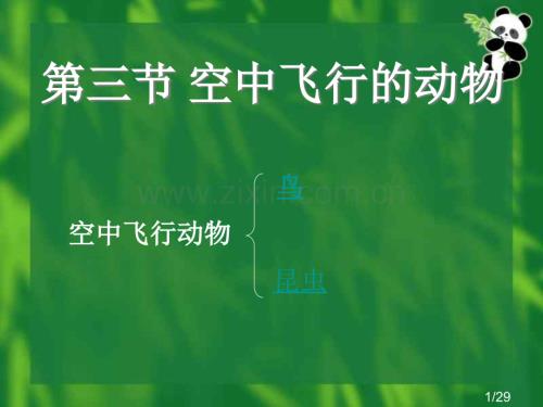 空中飛行的動物(第1課時)省名師優質課賽課獲獎課件市賽課百校聯賽優質課一等獎課件.ppt